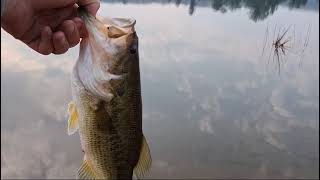 Bass Fishing at Highland Giants with Mike [upl. by Leroy948]