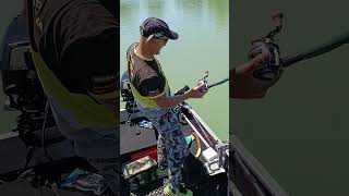 Pesce SILURO sul Tevere 11052024 part 1 vertical fishing bigfish fishing fish pesca [upl. by Ramyar]