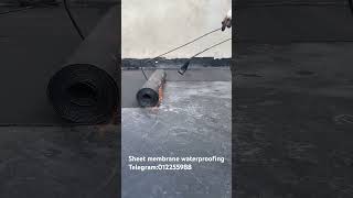 waterproofing sheetmembrane membrane membran waterproof leaking construction [upl. by Naveb791]