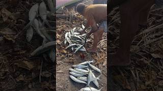 MILKFISH CAUGHT BY LOCALS fishing fish maldives island life shorts [upl. by Walworth]