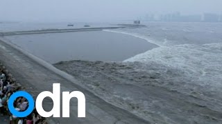 WATCH Spectacular tidal bore surges up Qiantang River in China [upl. by Andersen]