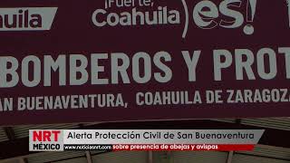 Alerta Protección Civil de San Buenaventura sobre presencia de abejas y avispas [upl. by Jarietta554]