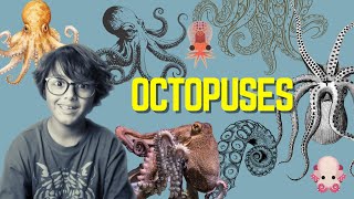 Leos Animal Planet  All you need to know about octopuses [upl. by Branscum]