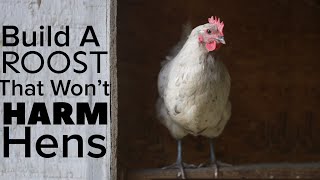 How To Build A Chicken Roost That Won’t Harm Your Chickens [upl. by Jeuz480]