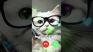 catcalling ringtone ringtones smartphone [upl. by Sidhu439]