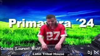 Latin Tribal House [upl. by Aland]