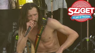 Gogol Bordello  Lela Pala Tute Live  Sziget 2015 [upl. by Acenahs]