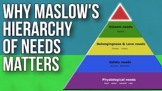 Why Maslows Hierarchy Of Needs Matters [upl. by Ybrik]