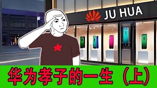 华为孝子的一生（上）｜wojak｜猴子的一生｜小粉红的一生｜ [upl. by Gerson]