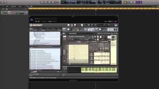 Walkthrough Evo Grid 3  Motion Strings [upl. by Trebreh]