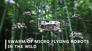 Swarm of Micro Flying Robots in the Wild All [upl. by Noerb]