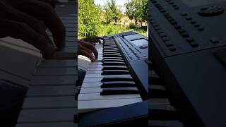 Ragheb alama  Nasini el donya piano cover turkmenistan music piano pianocover korgpa600 Korg [upl. by Eelymmij847]