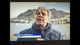 Servizio del TG5 delle ore 8 del 30 gennaio 2024 [upl. by Malloch]