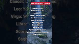 How Scorpio sees the signs astrology zodiasigns birthsigns horoscopes automobile [upl. by Idell173]