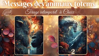 🌈Messages de votre animal Totem🌈 🦋 Guidance à 2 Choix  Tirage de cartes 🦋 [upl. by Theodor]