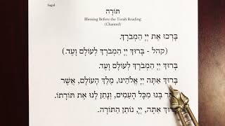 Blessing Before Torah  Congregational Speed [upl. by Ecirtam]