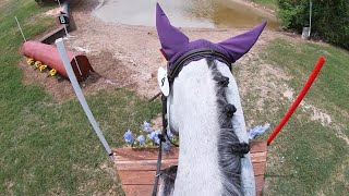 HELMET CAM XC Finnys Macho Man Open Preliminary  2024 Pine Hill Spring Horse Trials [upl. by Llenrrad]