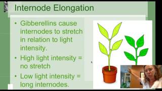 Plant hormones tricks  Tricks to learn functions of plant hormones [upl. by Nauqahs]