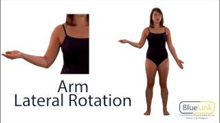 Arm Medial and Lateral Rotation [upl. by Evreh903]