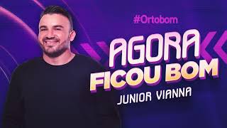 Junior Vianna  AGORA FICOU BOM Áudio Oficial [upl. by Nesto]