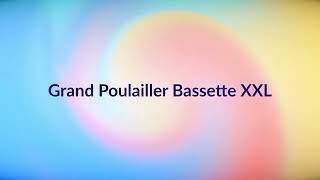 Grand Poulailler Bassette XXL ‐httpsamznto4dyOvZc [upl. by Reggi532]