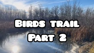 Birds Trail  Part 2 [upl. by Fabrice]