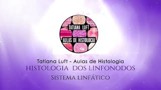 Histologia dos Linfonodos [upl. by Eanel]