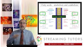 Biochemistry Fatty Acid Biosynthesis tutorial [upl. by Ingham]