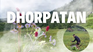 DHORPATAN  HORPATON  Monsoon Time dhorpatan baglung nepal [upl. by Roee944]