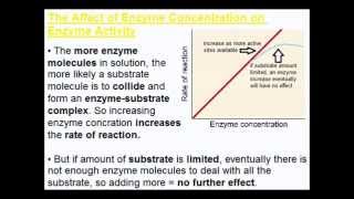 Factors Affecting Enzyme Activity Part 1  A Level AS Biology Revision [upl. by Melak128]