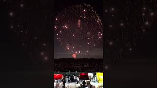 Sky cracklings shot firecracker india diwali crackers skyshot youtubeshorts youtuber [upl. by Newob]