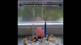 Flourocarbon vs Monofilament [upl. by Ewen]