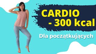 Ciche cardio na stojąco spal ponad 300 kcal Bez podskoków i tupania [upl. by Luamaj]