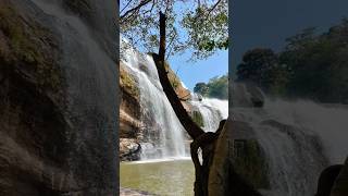 Waterfallsnature MunnarIukkitouristplace shorts kerala [upl. by Dreda]