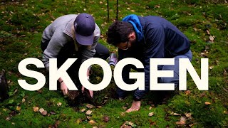 Feltarbeid med NKI  Episode 3 Skogen [upl. by Othe]