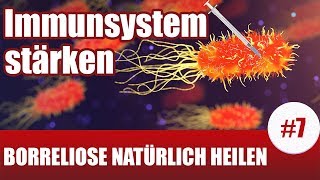 BorrelioseTherapie  Diese Pflanzen stärken dein Immunsystem Borreliose Behandlung natürlich 7 [upl. by Lothar189]