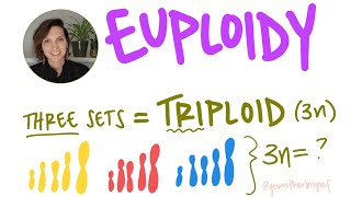 Haploid amp Diploid Explanation  Difference HINDI [upl. by Eilata]