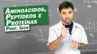 Química  Aminoácidos Peptídeos e Proteínas [upl. by Novi646]