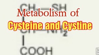 Metabolism of Cysteine and Cystine Biochemistry [upl. by Mohorva722]