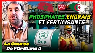 Sonatrach vs OCP  lAlgérie peutelle concurrencer le Maroc dans lindustrie des Phosphates [upl. by Hairehcaz]