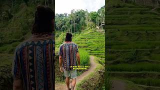 Bali  ça vaut toujours le coup  🇮🇩 bali vlog voyage vacances [upl. by Enneyehc]