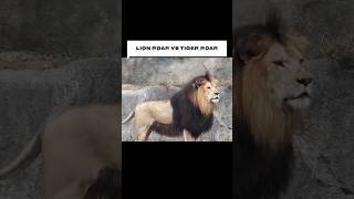 Tiger Roar vs Lion Roar  Which is LOUDERPart One [upl. by Hoskinson537]