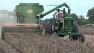 BEAN HARVEST with Antique Combines JD amp Oliver tubalcain [upl. by Samy]