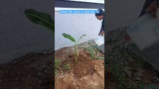 My new house Gardening 🌳 🏡 [upl. by Drye]