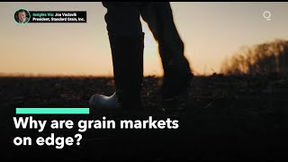 Why Are Grain Markets on Edge [upl. by Balling]