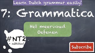 HET MEERVOUD DUTCH GRAMMAR NT2 learndutch grammatica nederlands staatsexamen fun inburgering [upl. by Ati]