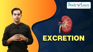 Excretion  Renal Failure and Dialysis  Excretory System in Human  Disorder of Kidney [upl. by Christiano933]