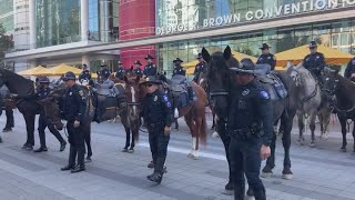 3 new officers join Houston Police Departments mounted patrol division [upl. by Garrard]