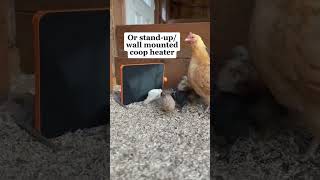 Got our chicken coop an upgrade with this best chicken coop heater this chilly winter chicken [upl. by Ursuline556]