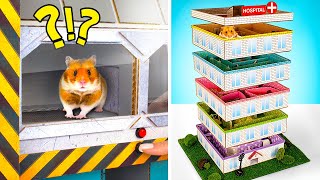 DIY Mazes Every Hamster Dreams Of  Fun Pet Entertainment From Cardboard [upl. by Ameyn]